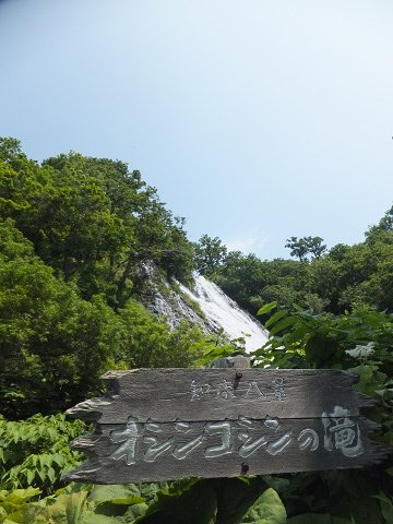 DSCF3780