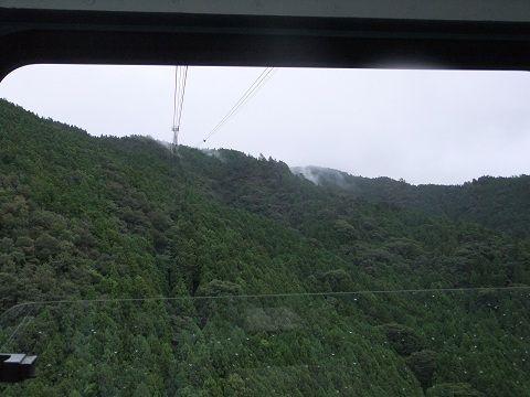 DSCF7774