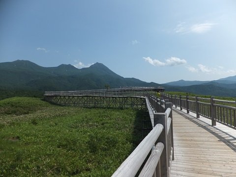 DSCF3823
