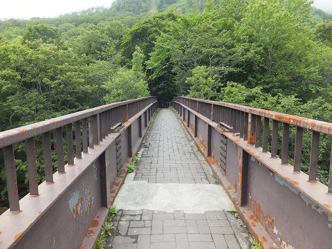 DSCF4364