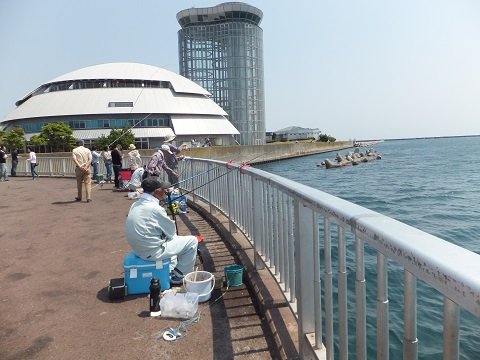 DSCF0919