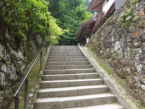 DSCF1174