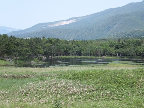 DSCF3816