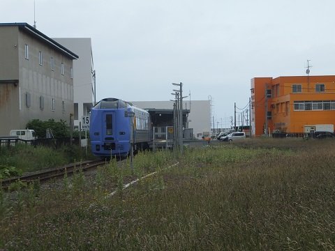 DSCF4233