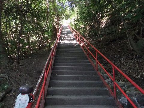 DSCF8157