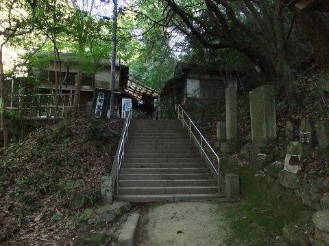 DSCF8153