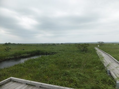 DSCF4274