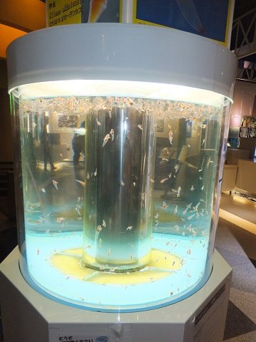 DSCF4028