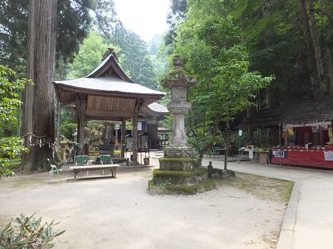 DSCF1229