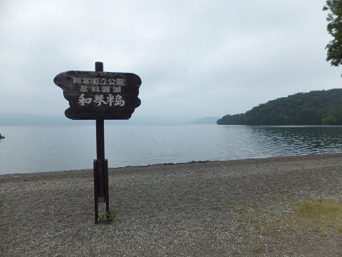 DSCF3691