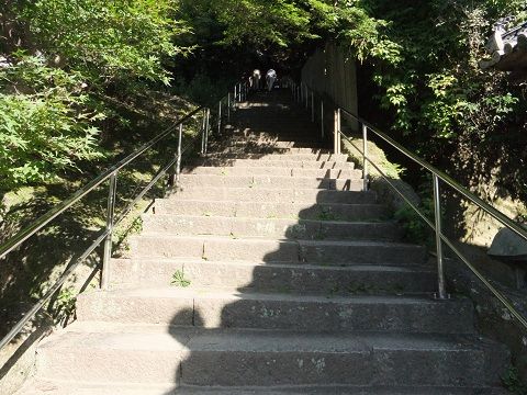 DSCF8159