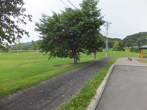 DSCF5379