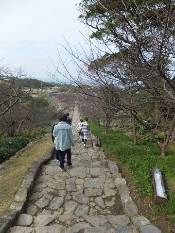 DSCF8714 - コピー