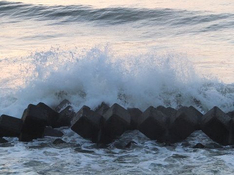 DSCF7806