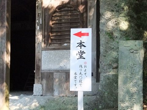 DSCF8160