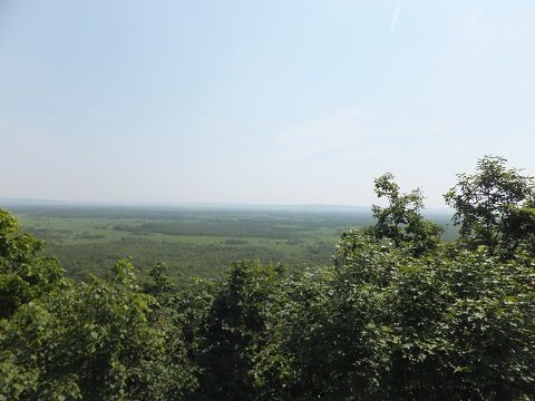 DSCF3519