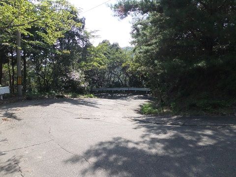 DSCF7855