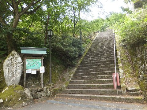 DSCF1167