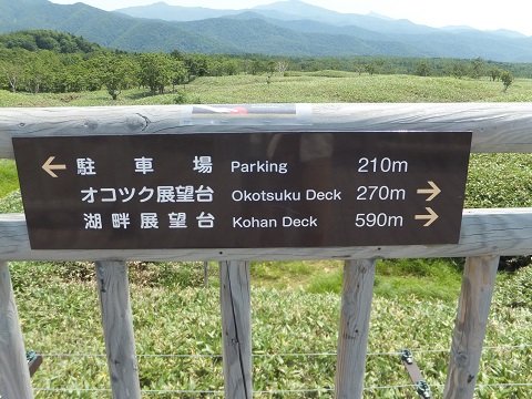 DSCF3808