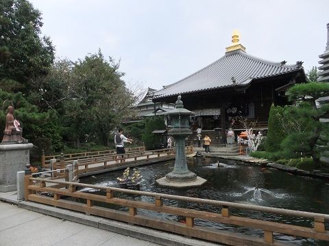 DSCF7644