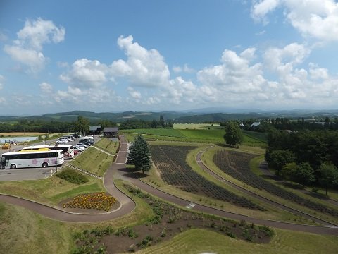 DSCF4936