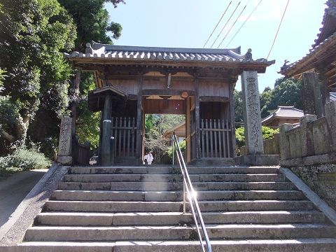 DSCF7699