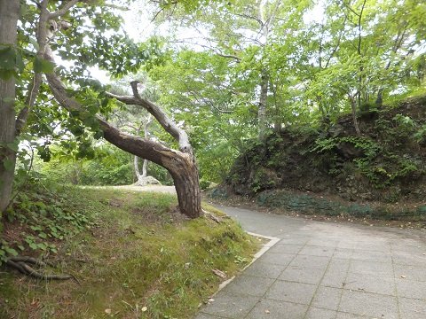 DSCF5471