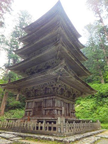 DSCF2600