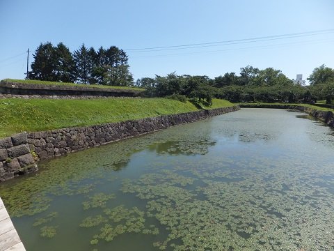 DSCF5756