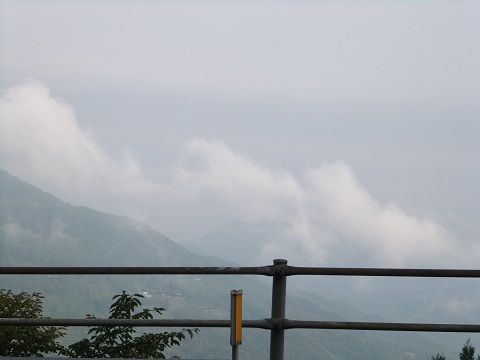 DSCF7988
