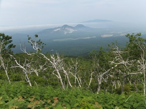 DSCF3642