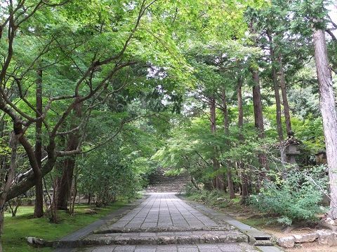 DSCF7885