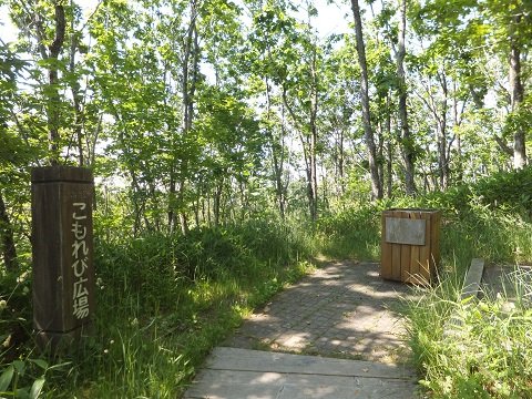 DSCF3505