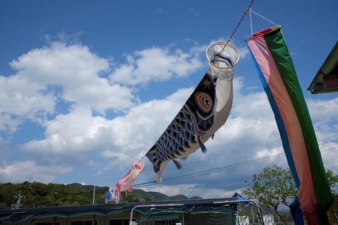 DSCF4047 - コピー