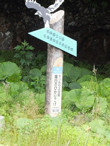 DSCF4430