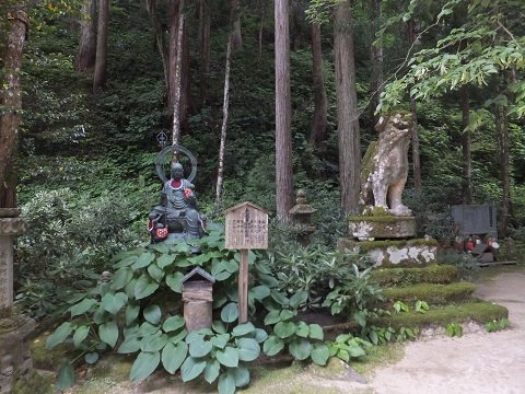 DSCF1194