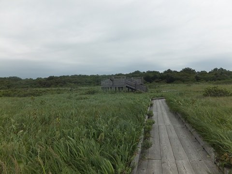 DSCF4281
