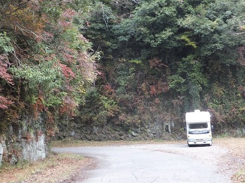 DSCF8164 - コピー