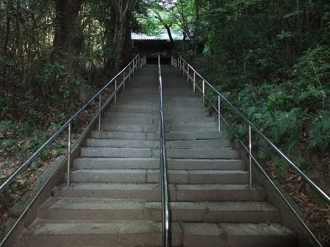 DSCF8154