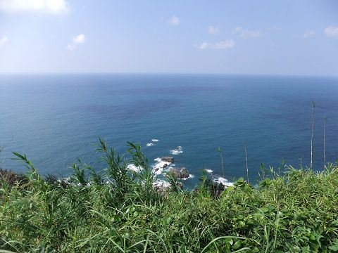 DSCF7833