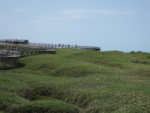 DSCF3806
