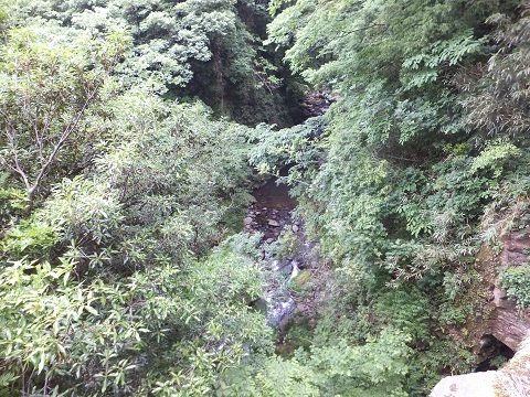 DSCF1166