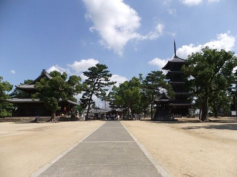 DSCF8182