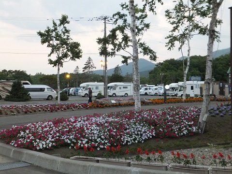 DSCF3559