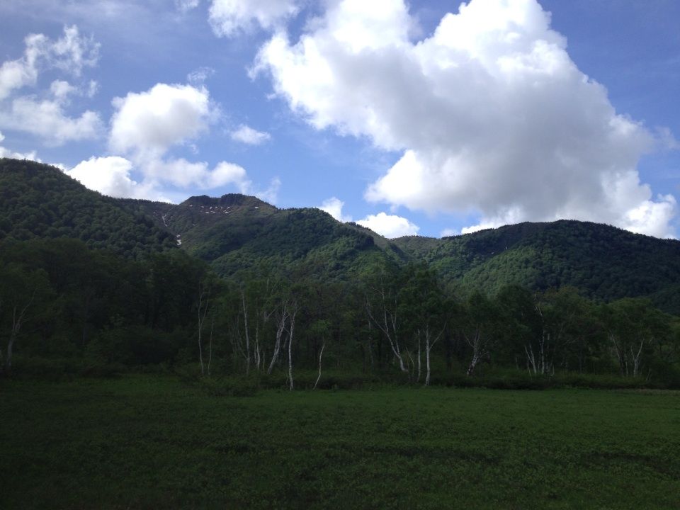 尾瀬6 Domaniメイツ合田雅美の花と体が資本です