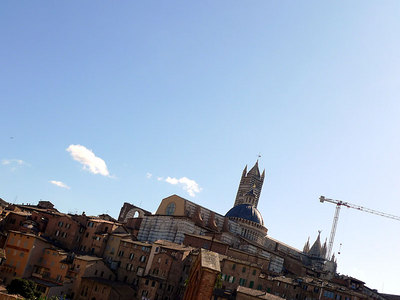 siena