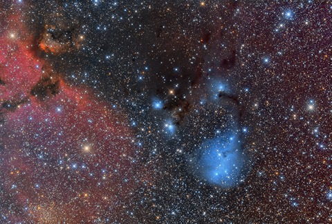 IC2169_comp_crop