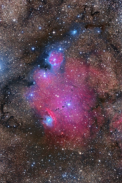 IC1274_clone