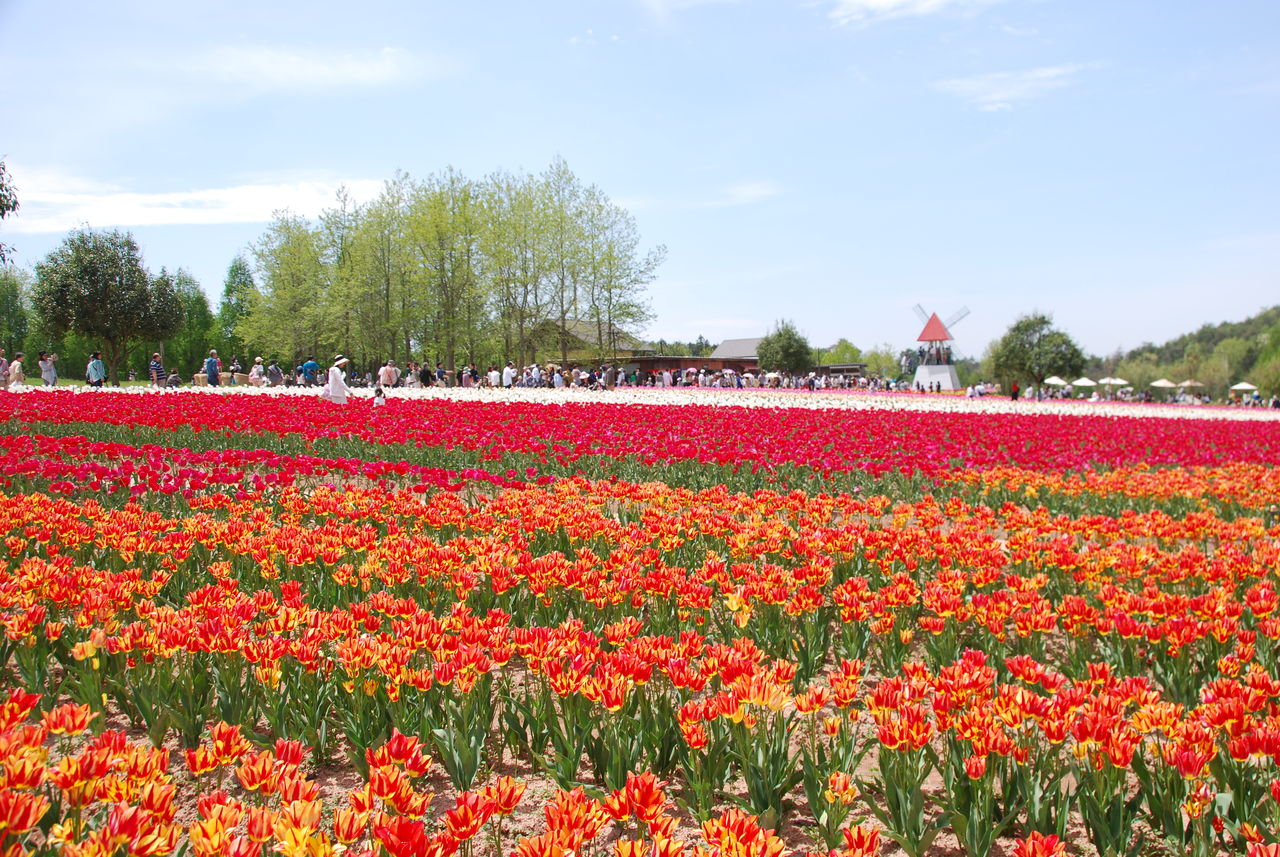 世羅高原農場 世羅ワイナリー ﾘﾗｯｸｽ De ﾃﾞﾗｯｸｽﾗｲﾌ