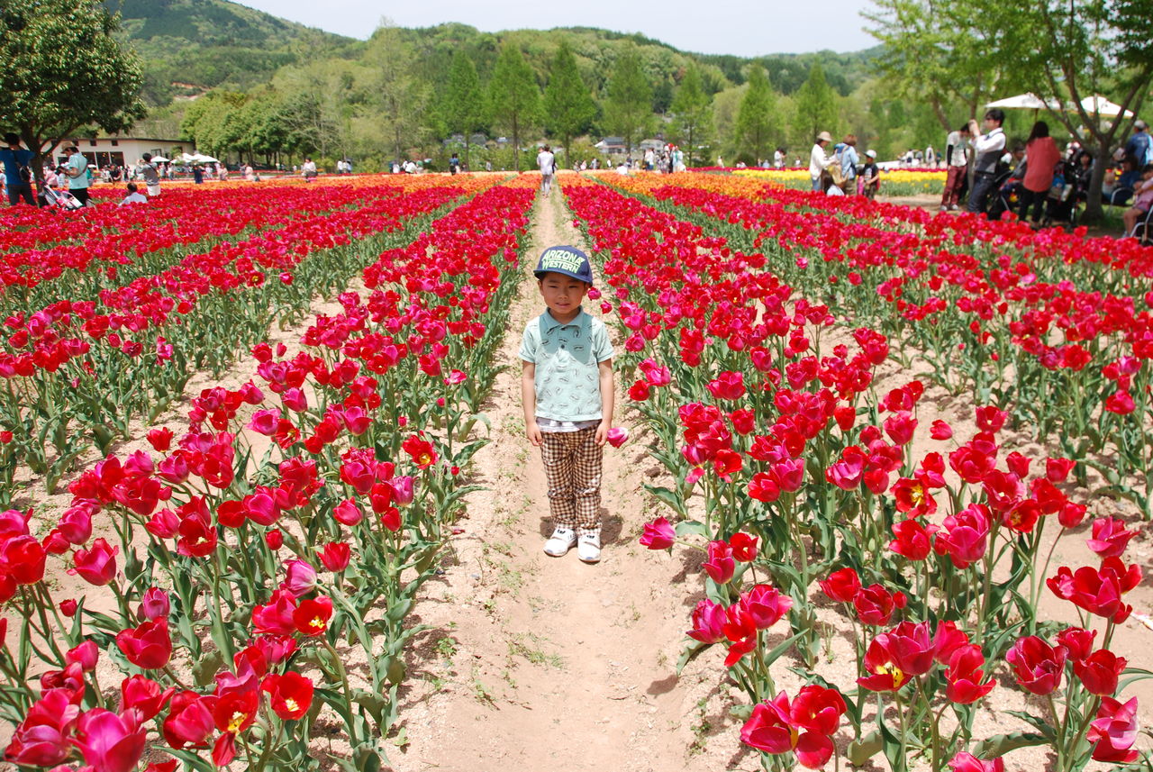 世羅高原農場 世羅ワイナリー ﾘﾗｯｸｽ De ﾃﾞﾗｯｸｽﾗｲﾌ